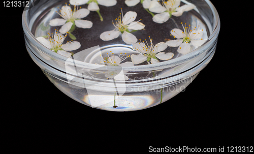 Image of Bowl with flowers