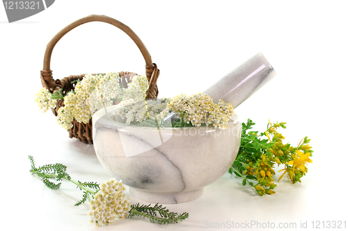 Image of Medicinal herbs