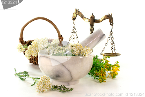 Image of Medicinal herbs