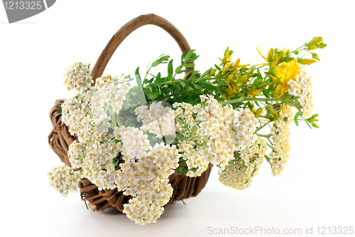 Image of Yarrow and St. John's Wort