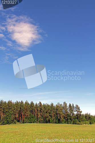 Image of Blue Sky and Green Field at Summer