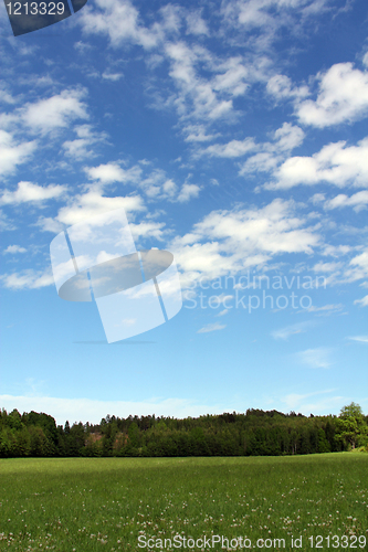 Image of Summer Fields and Beautiful Sky