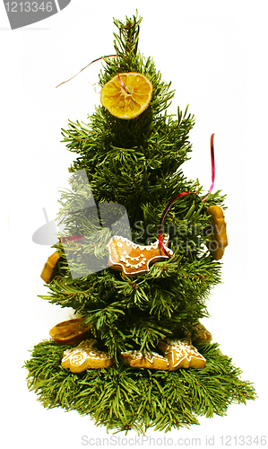 Image of Small Chrismas Tree