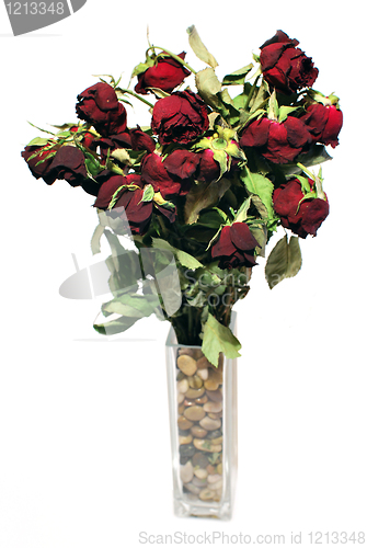 Image of Dried roses