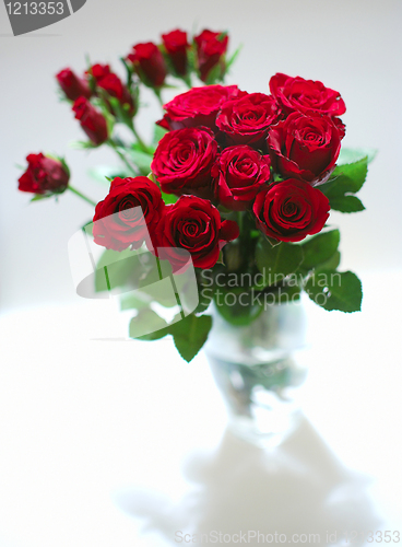 Image of Red Roses