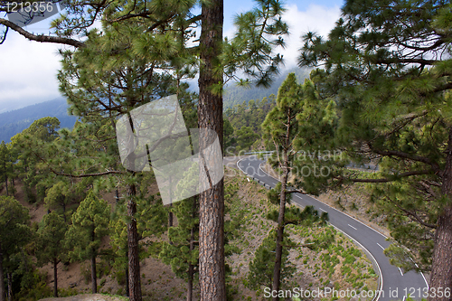 Image of Curvy Mountain Road in La Palma