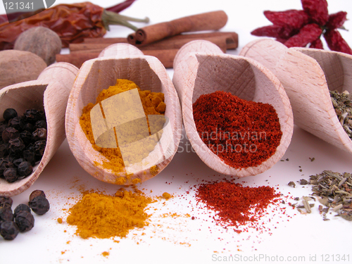 Image of spices