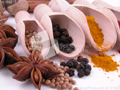 Image of spices