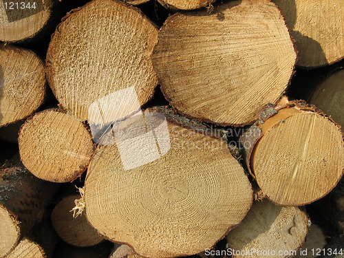 Image of Stacked Timber