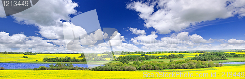 Image of Prairie panorama in Saskatchewan, Canada