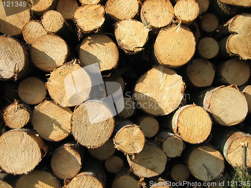 Image of Stacked Timber