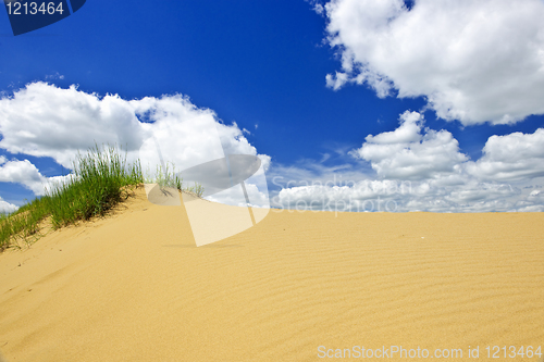 Image of Desert landscape in Manitoba, Canada