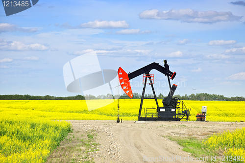 Image of Nodding oil pump in prairies