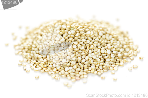 Image of Quinoa grain closeup