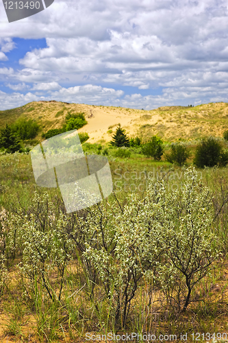 Image of Sand dunes in Manitoba