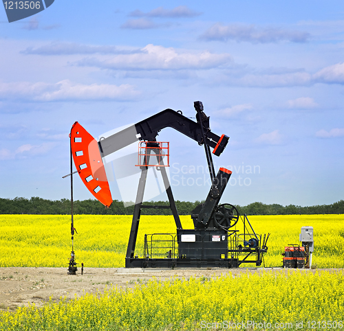 Image of Nodding oil pump in prairies