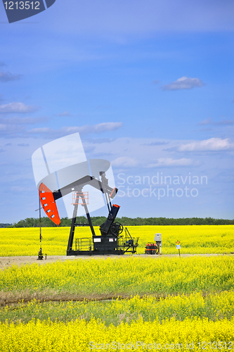 Image of Nodding oil pump in prairies