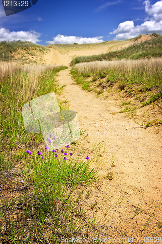 Image of Desert landscape in Manitoba, Canada