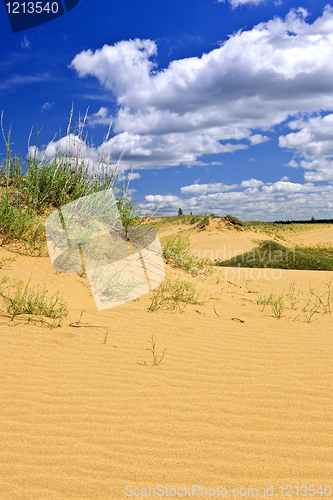 Image of Desert landscape in Manitoba, Canada