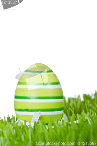 Image of easter egg in grass