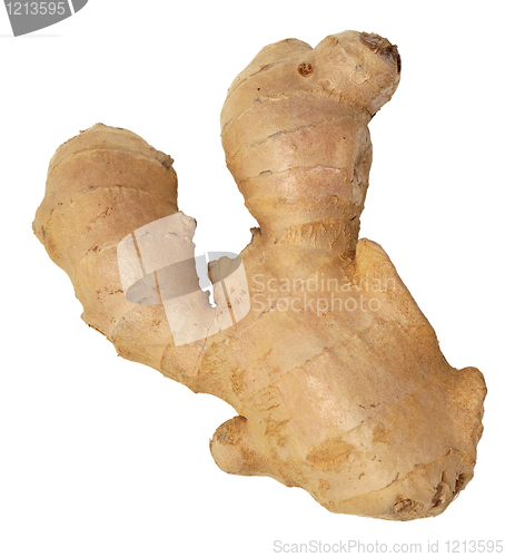 Image of ginger