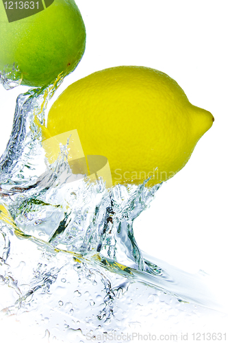 Image of citrus fruit splashing