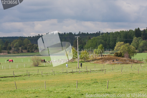 Image of pastures