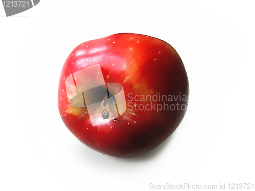 Image of red apple 
