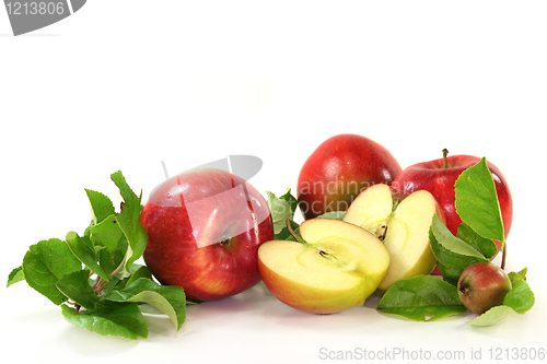 Image of Apples