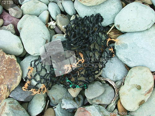 Image of shore09