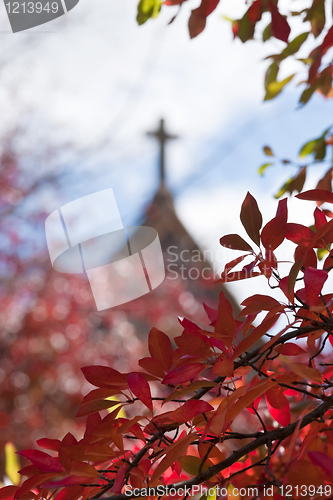 Image of cross through red autumn leaves