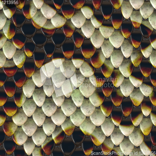 Image of snake scales background