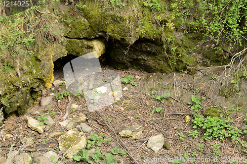 Image of Garter Snake Den