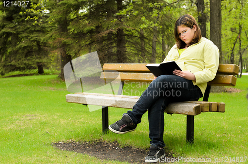Image of Reading In The Park