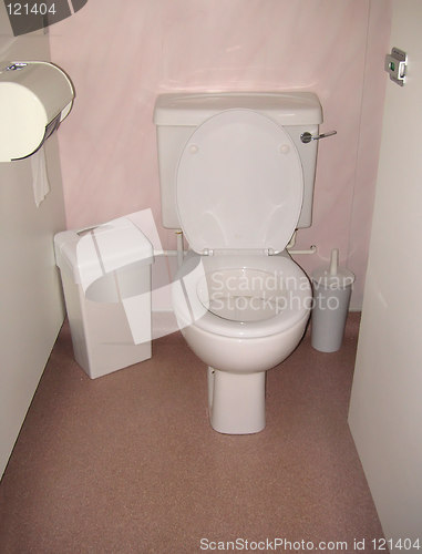 Image of toilet in a cubicle