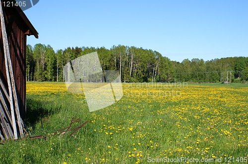 Image of Summer landscape