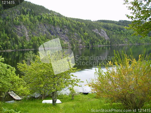 Image of Garden with water