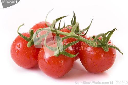 Image of Tomatoes