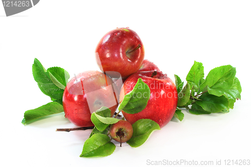 Image of Apples