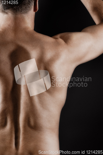 Image of male back