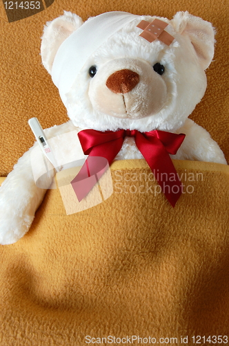 Image of sick teddy