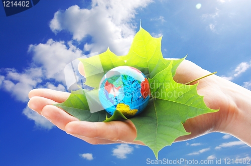 Image of globe in hand
