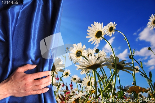 Image of summer flowers