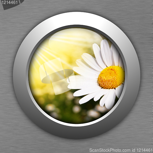 Image of flower
