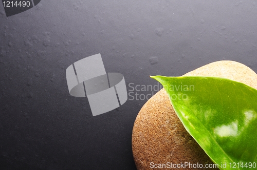 Image of zen stones