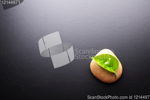 Image of zen stones