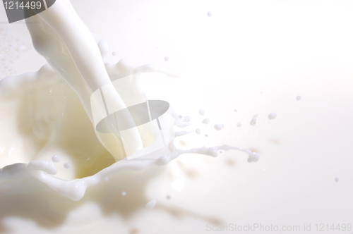 Image of milk splash