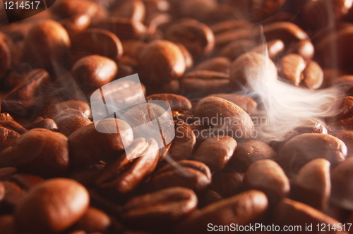 Image of coffee beans