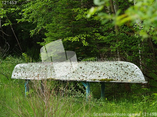 Image of canoe covered with algae