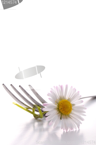 Image of flower and fork